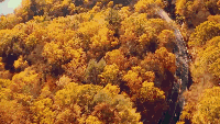 微信图片_20181022101756.gif