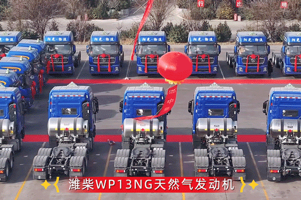 01.gif