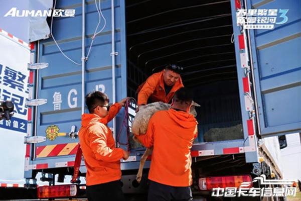 图片333.jpg