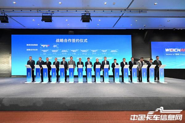 1765160019324668.jpg 10.jpg