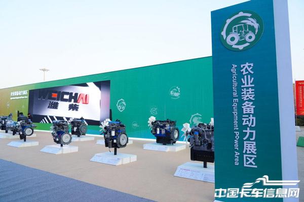 1765290373614129.jpg 2.jpg