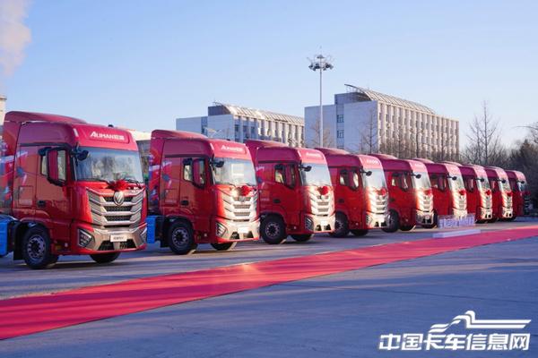 1769172798697586.jpg 5.jpg