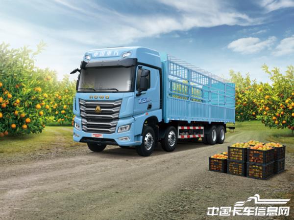 1776063253891618.jpg 1.jpg